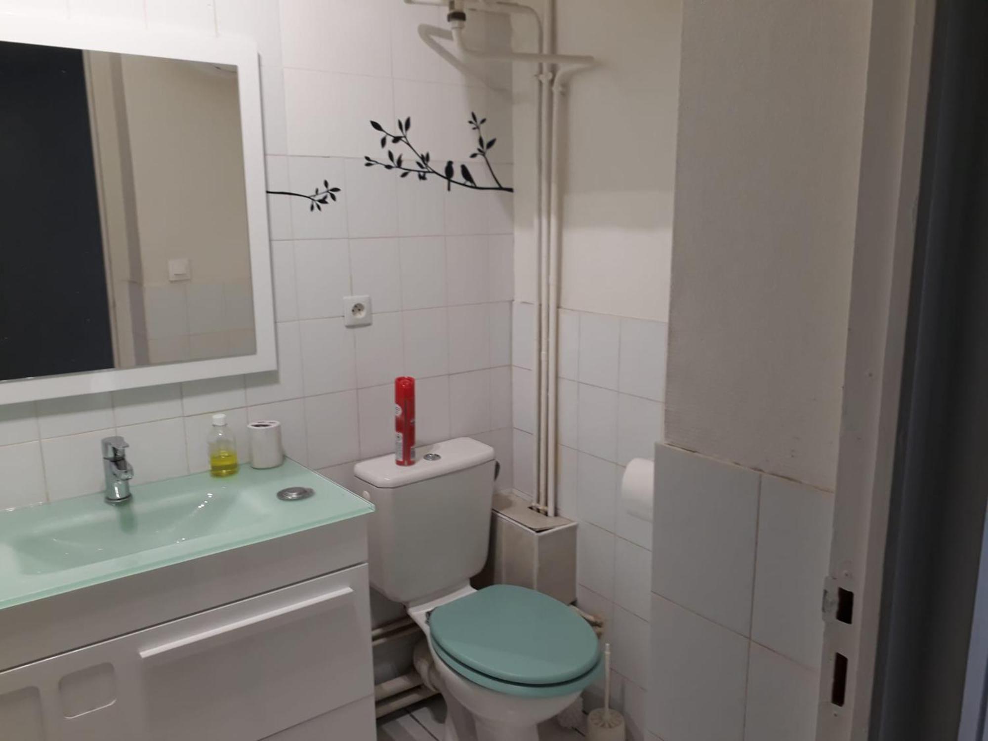 Appartement Lyon 7 Gerland Eksteriør billede